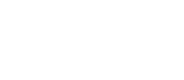 Weight Watchers Inc.