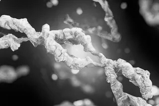 Is Corona mRNA’s Crown?